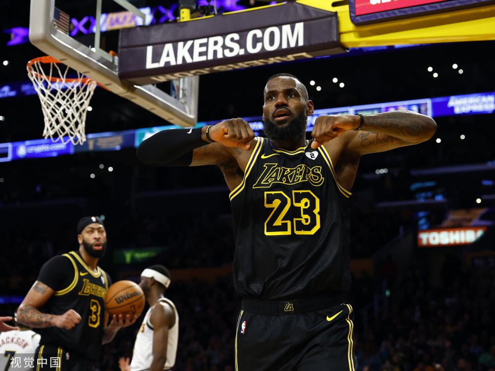 戴大卫在花 戴大卫在花